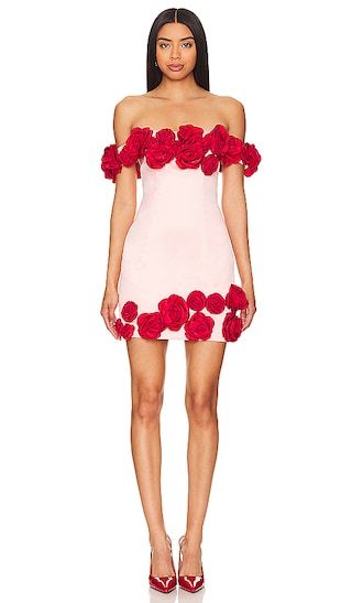 The Rosalie Mini Dress in Pink & Red | Revolve Clothing (Global)