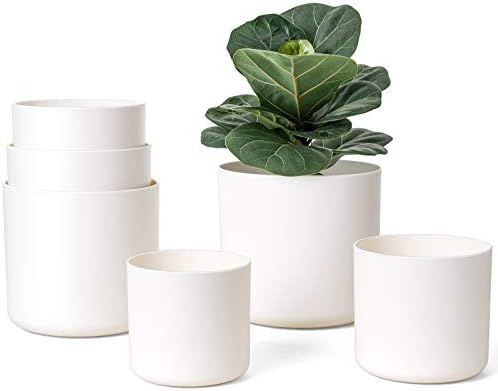 Mkono 6 Pack Plastic Plant Pots for Plants, 7/6.5/6/5.5/5/4.5 Inch Indoor Plastic Planters Modern... | Amazon (US)