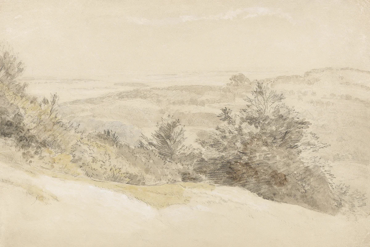 Boxhill | Juniper Print Shop