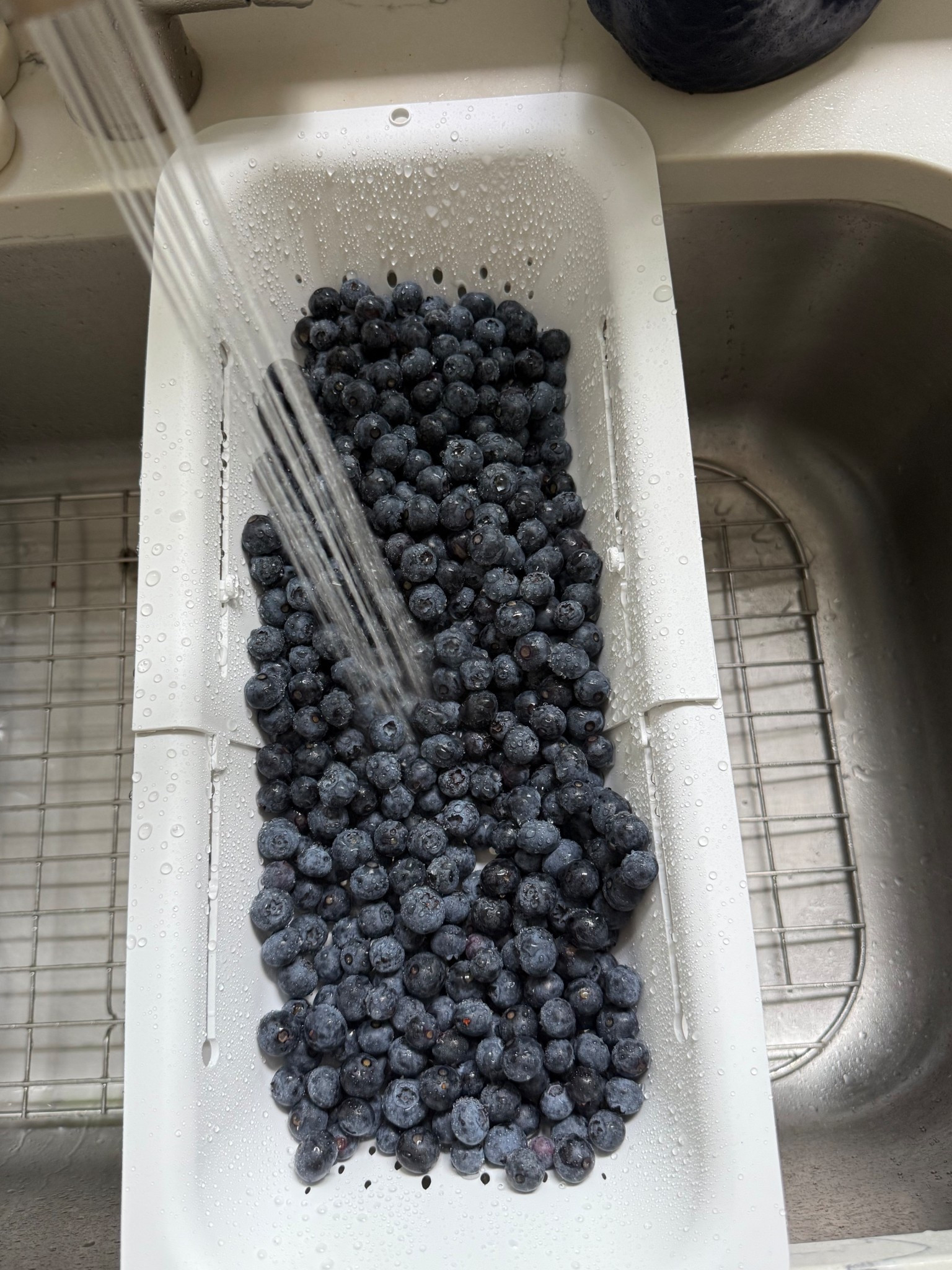 Love our #strainer that’s retractable and fits all kitchen sink sizes!

#LTKFindsUnder50 #LTKHome #LTKFamily