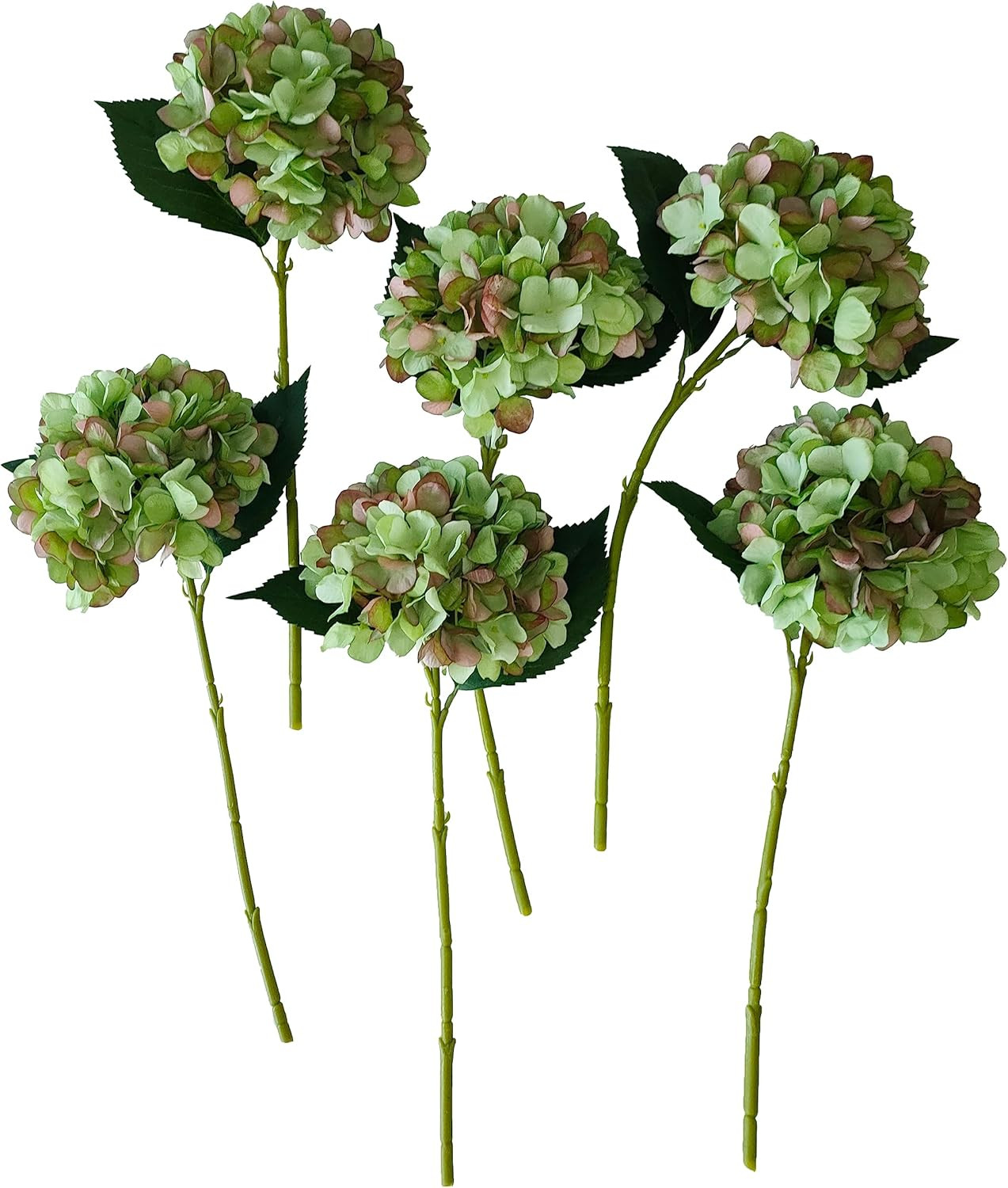 Green Hydrangea Artificial Flowers,6 Pcs Faux Green Hydrangea Flowers, Artificial Hydrangeas Flow... | Amazon (US)