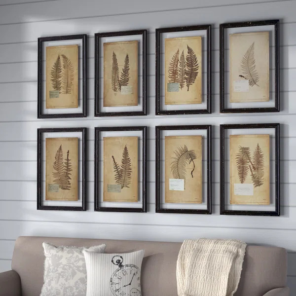 Fern - 8 Piece Picture Frame Graphic Art Print Set on Paper | Wayfair North America