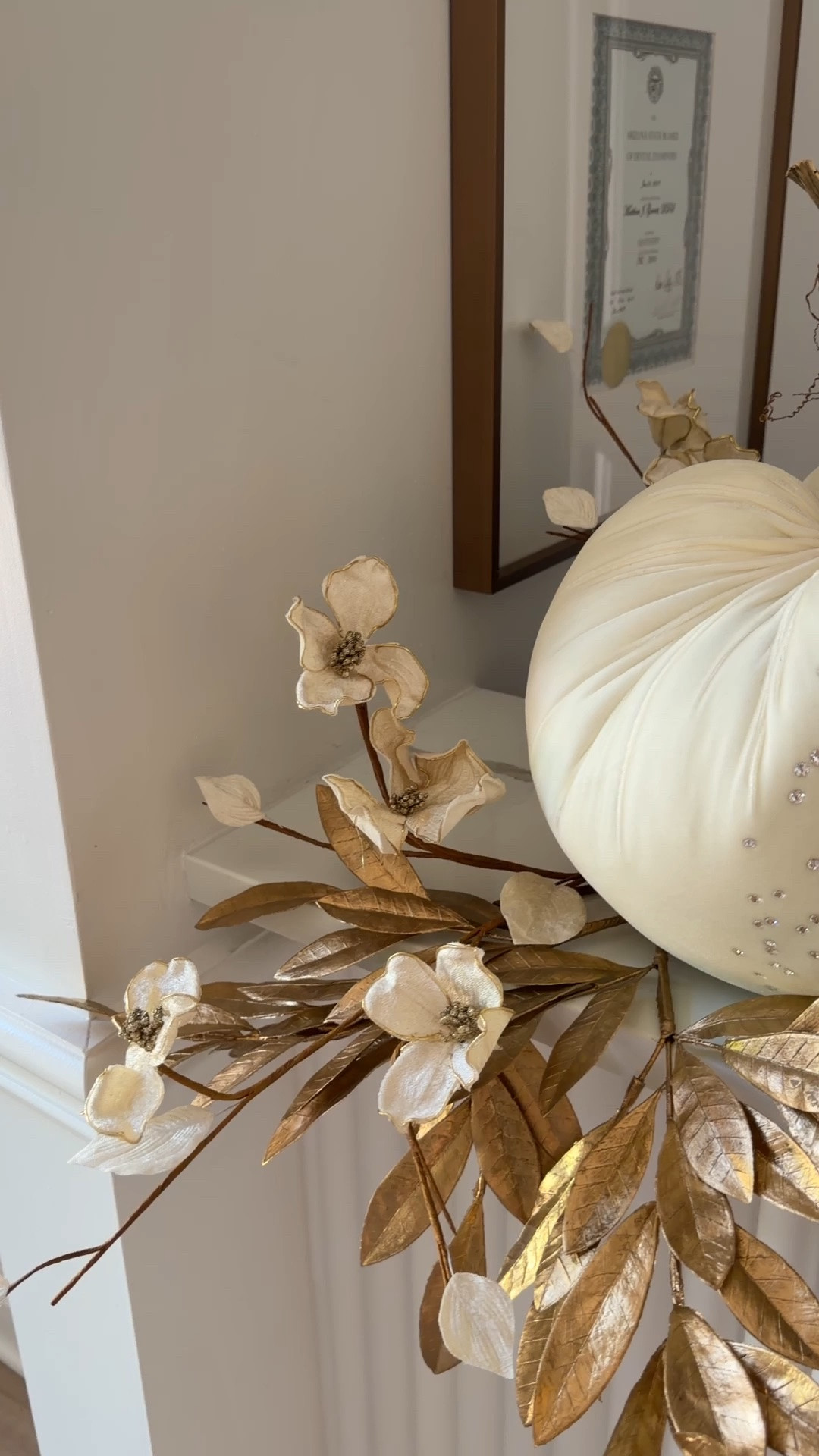 Elegant white and gold fall decor. White velvet pumpkins with dogwood

#LTKHome #LTKSeasonal