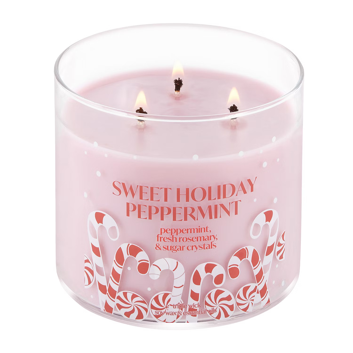 Distant Lands 14 Oz 3 Wick Sweet Holiday Peppermint Scented Jar Candle | JCPenney