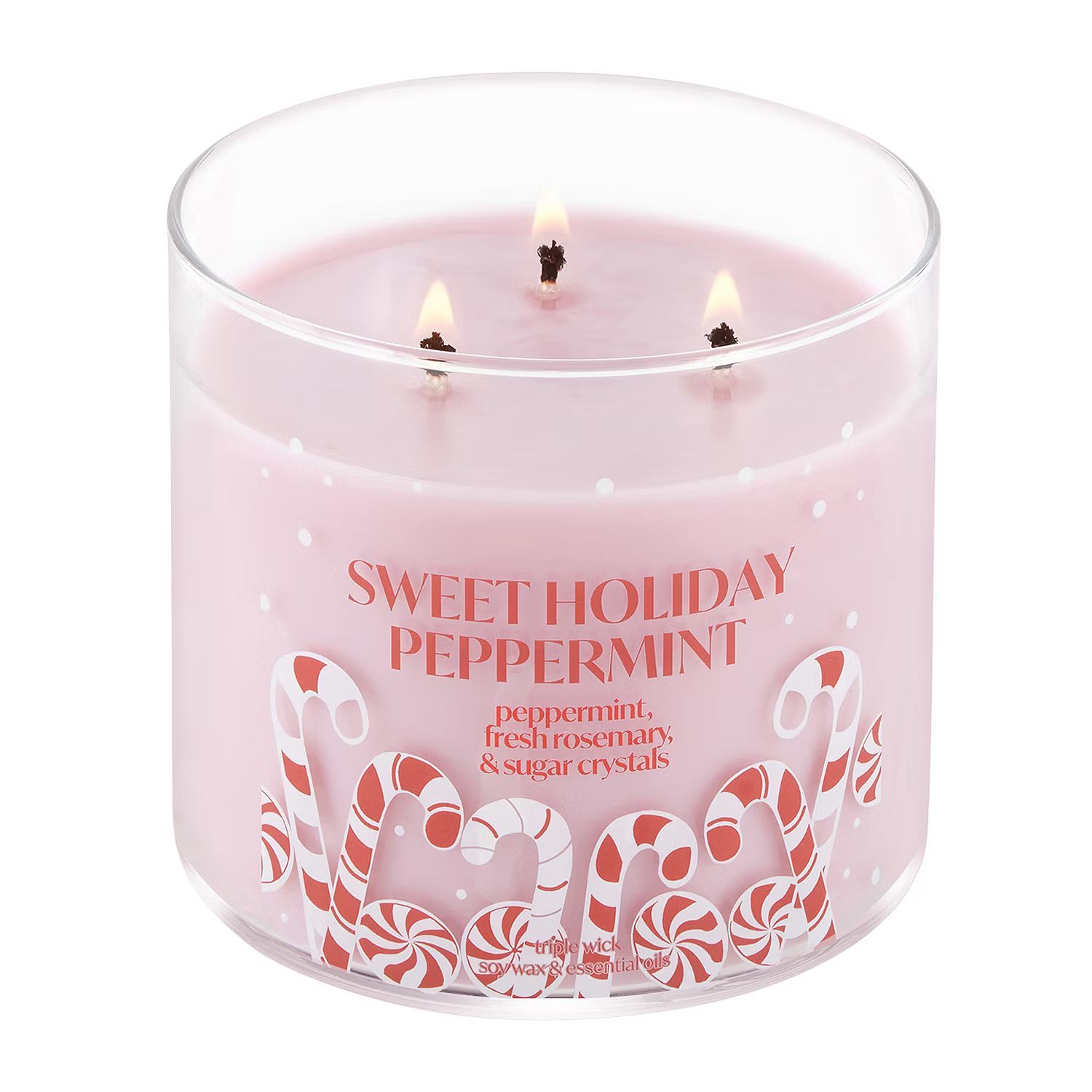 Distant Lands 14 Oz 3 Wick Sweet Holiday Peppermint Scented Jar Candle | JCPenney