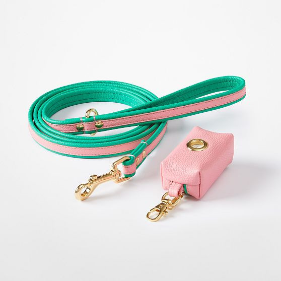 Two-Color Leather Dog Leash Set, Pink-Green, Small | Mark and Graham