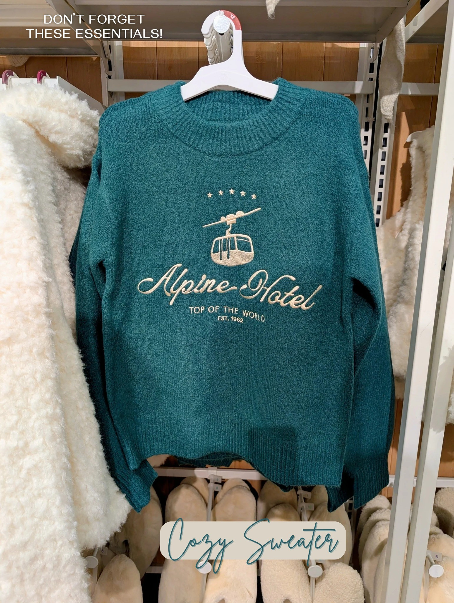 Cozy alpine sweater for the holidays. Oversized graphic sweater from Target.

#LTKTravel #LTKHoliday #LTKFindsUnder50