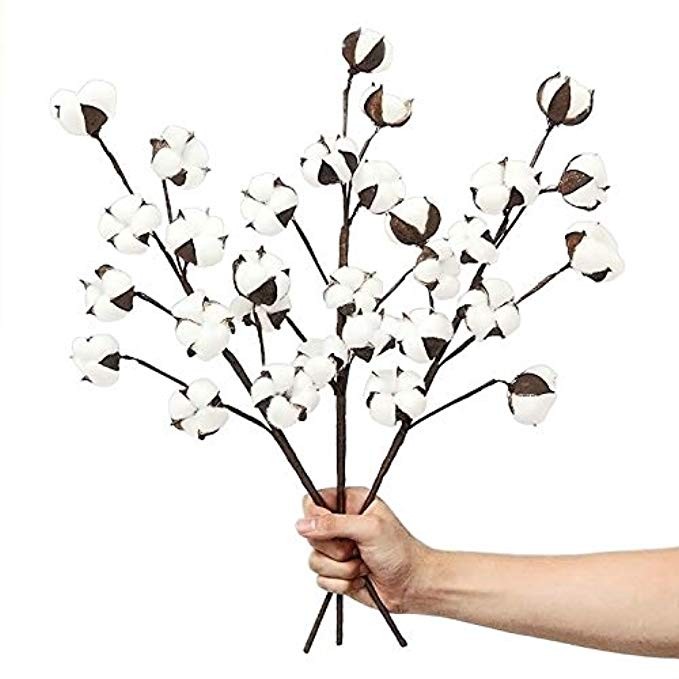 VGIA 3 Pack 21 inch Cotton Stems Farmhouse Decoration Floral Picks - Rustic Style Vase Filler Decora | Amazon (US)