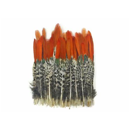 5 Pieces - Medium Natural Orange Tips Lady Amherst Pheasant Feather | Walmart (US)