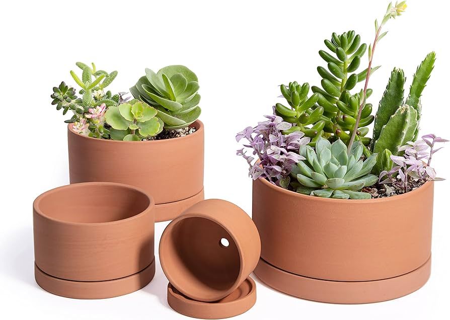 D'vine Dev Set of 4 Terracotta Shallow Planter Pots for Succulent, 3 Inch 4 Inch 5 Inch 6 Inch, S... | Amazon (US)
