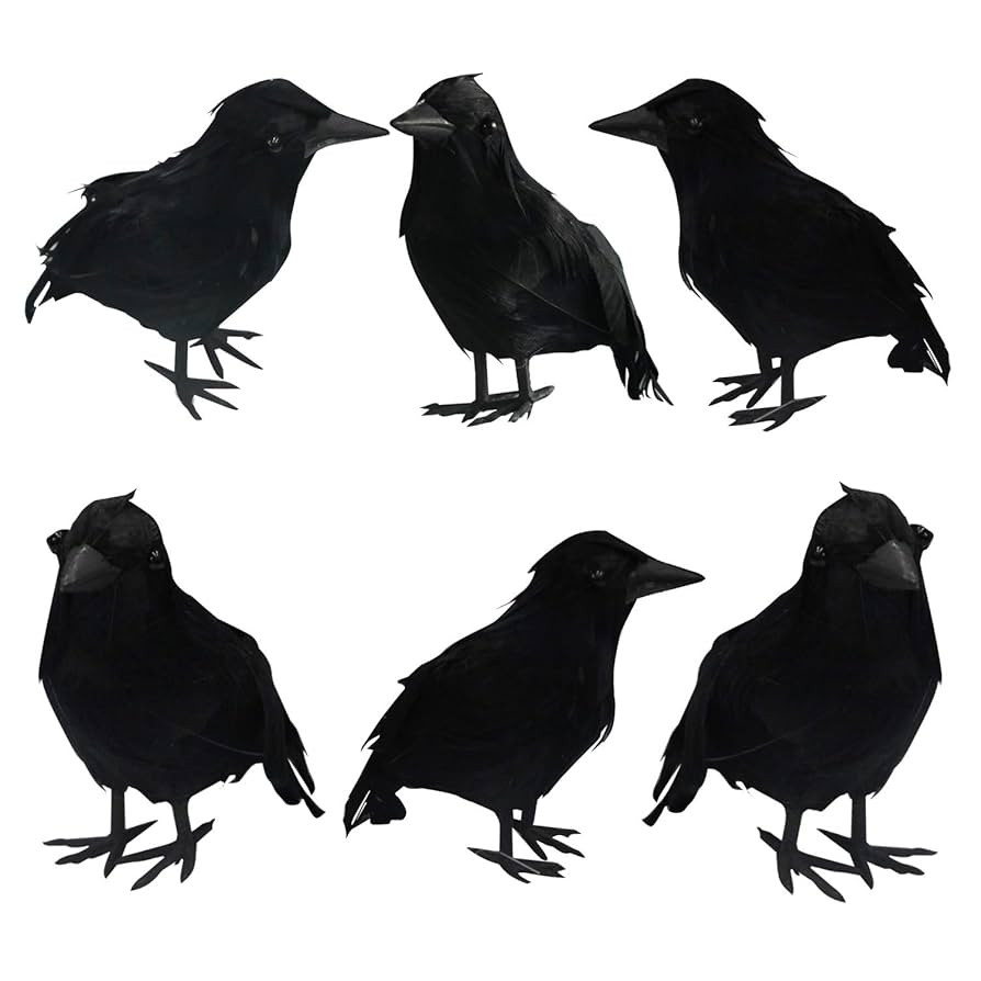 FUNPENY Halloween Black Feathered Crows, Lifelik Halloween Decoration Birds with Real Feather (6 ... | Amazon (US)