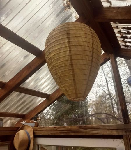 Wasp nest decoys activated.

#LTKSeasonal #LTKhome #LTKfindsunder50