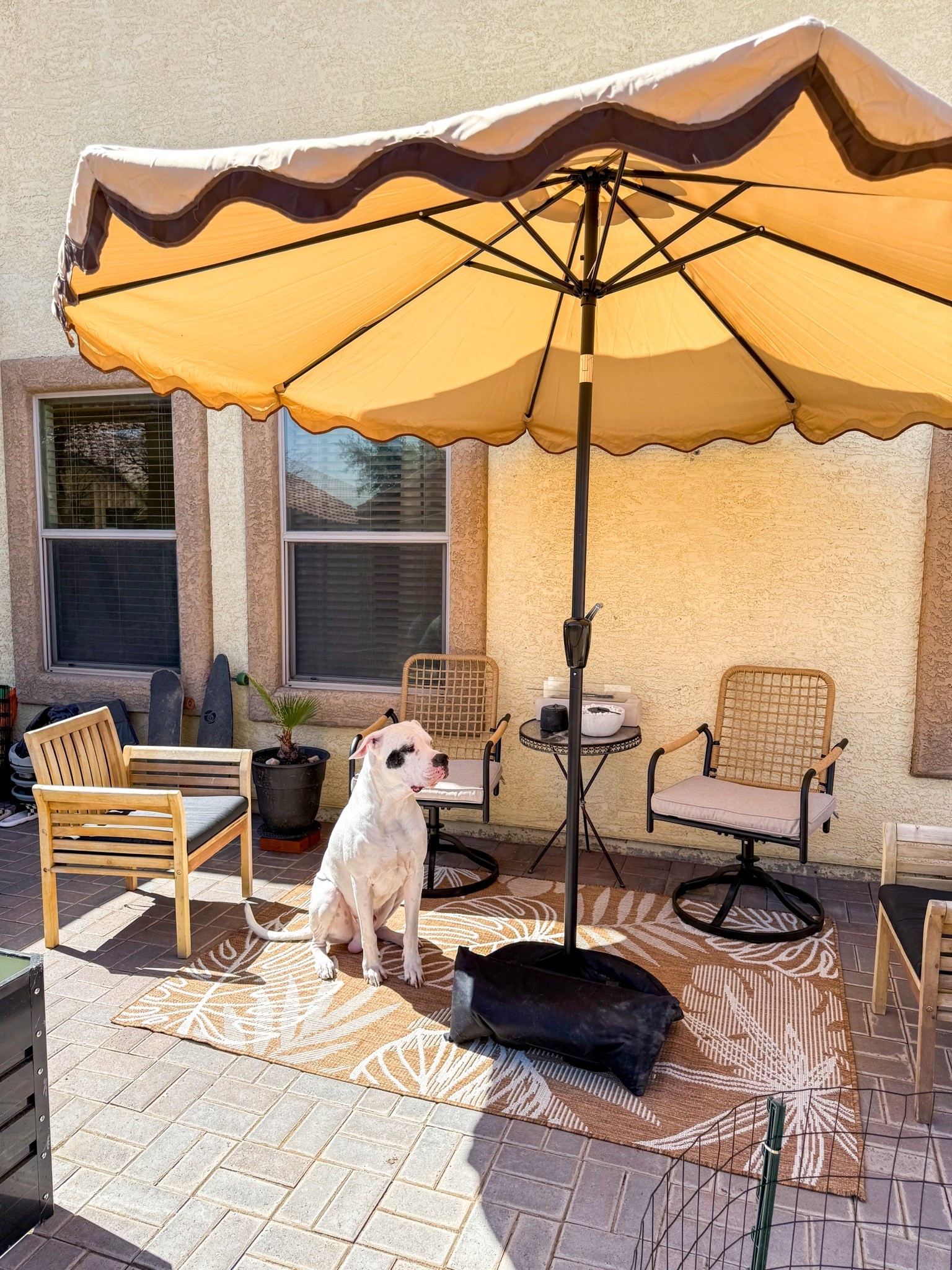 Simple backyard Patio on a budget 🙌🏼
Absolutely love those swivel chairs!! 

#WayFairHome #WayFairCreator #PatioDecor

#LTKSeasonal #LTKHome #LTKSaleAlert