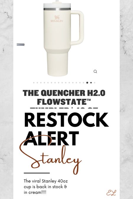 The viral Stanley mug is back in stock in eucalyptus, black, rose quartz & cream. Run, don’t walk!

#LTKunder50 #LTKHoliday #LTKhome
