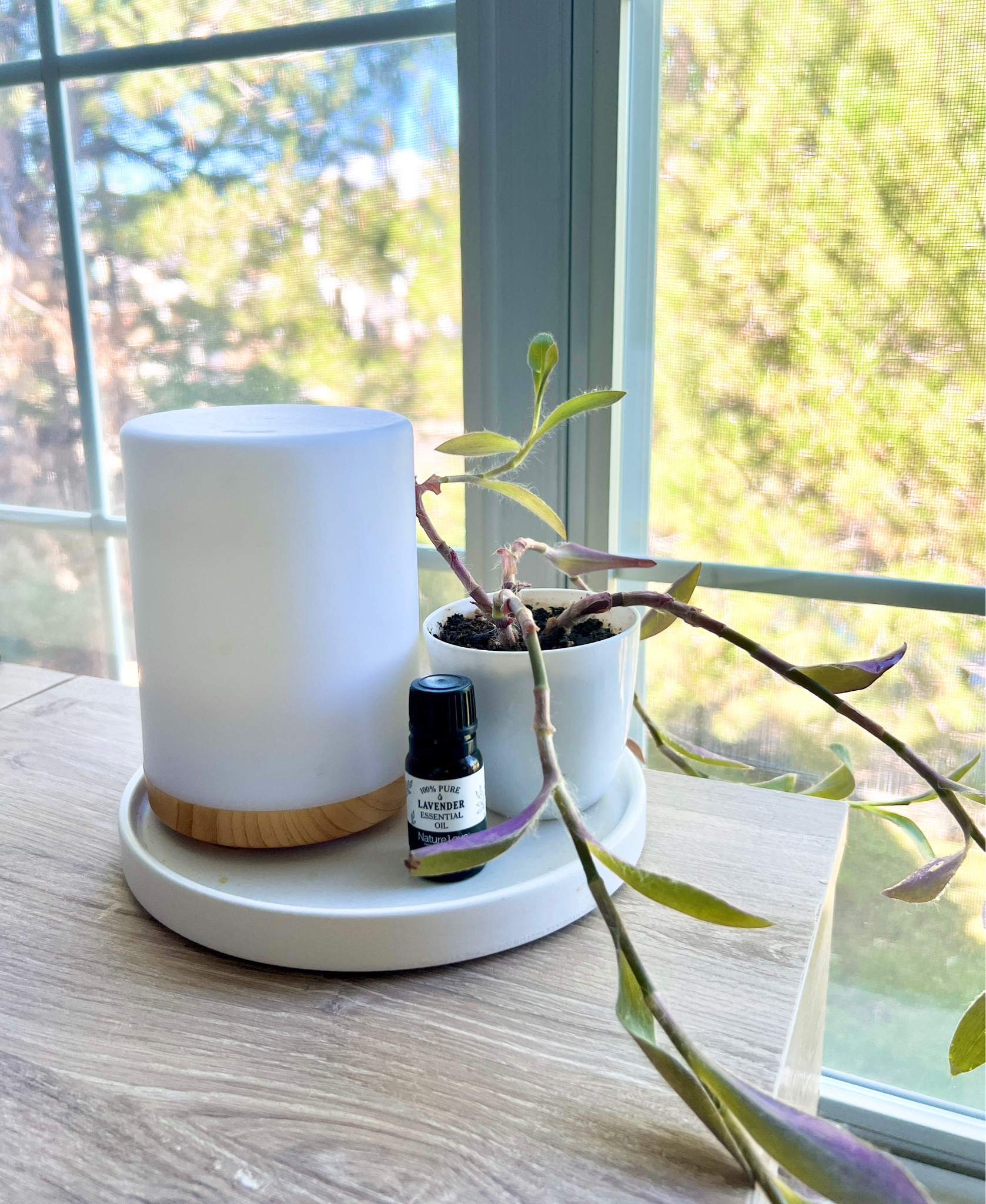 The perfect, minimalist diffuser!

#HomeFinds 

#LTKunder50 #LTKSeasonal #LTKhome
