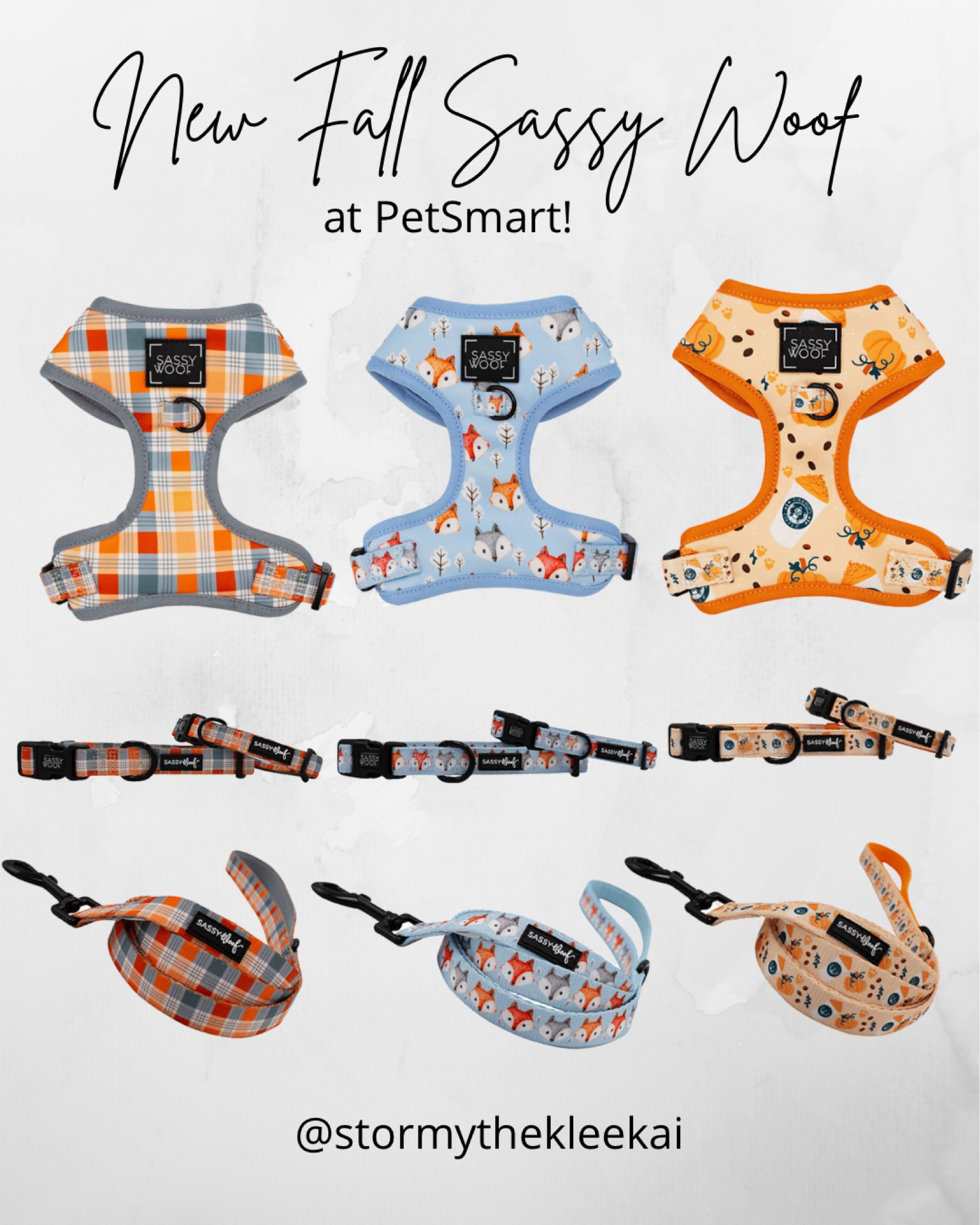 New Fall Walk Essentials For Dogs! 

#LTKunder50 #LTKSeasonal #LTKHalloween