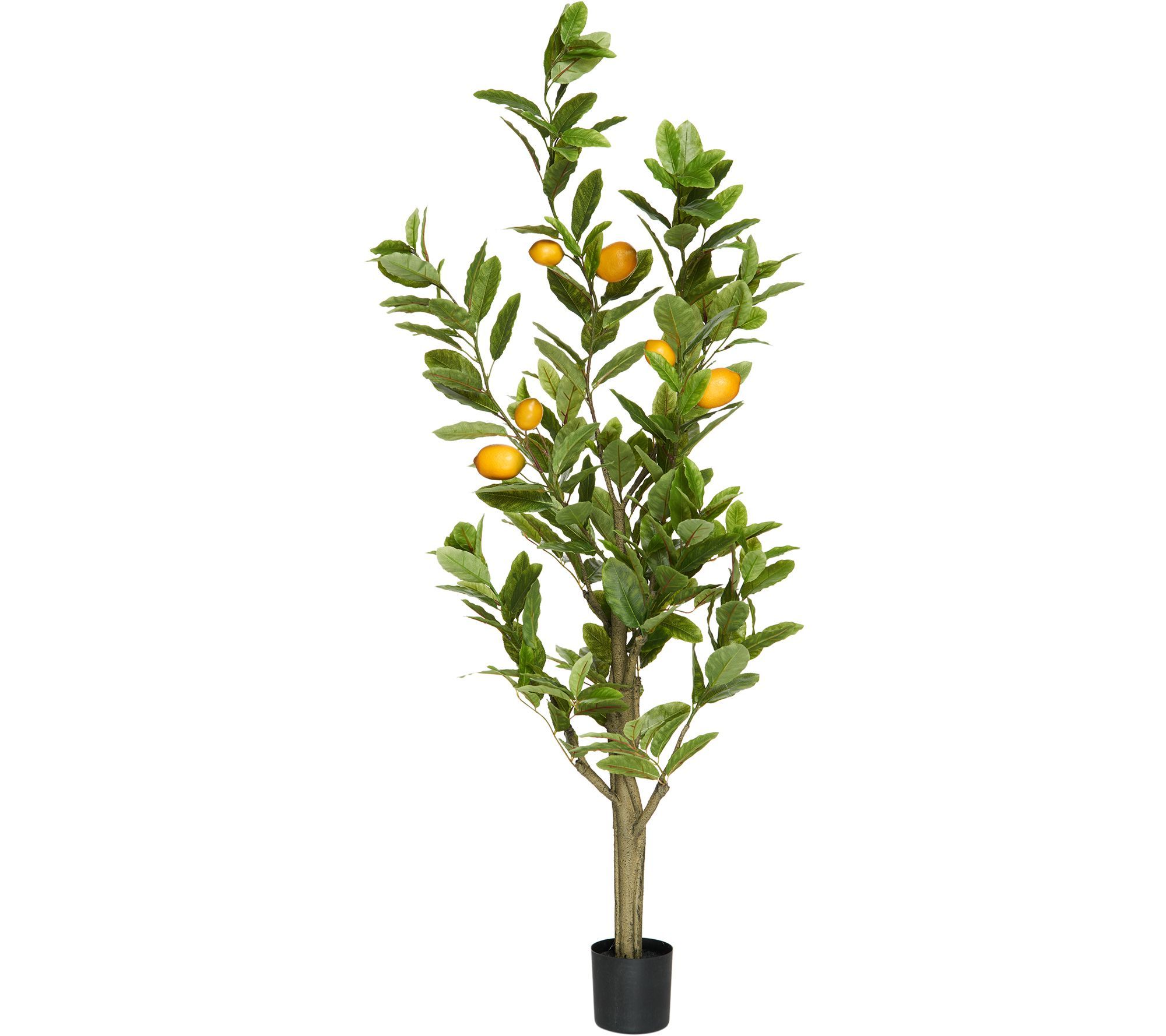 5' Decorative Lemon Tree with Base by Valerie | QVC