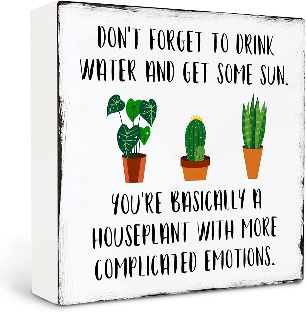 Funny Garden Signs, Garden Decor - Don't Forget to Drink Water and Get Some Sun Wood Box Sign for... | Amazon (US)