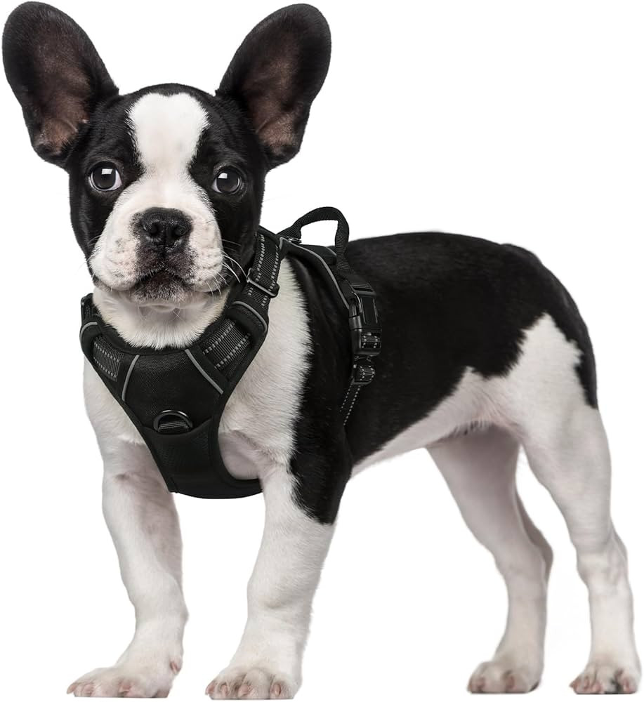 rabbitgoo Dog Harness, No-Pull Pet Harness with 2 Leash Clips, Adjustable Soft Padded Dog Vest, R... | Amazon (US)