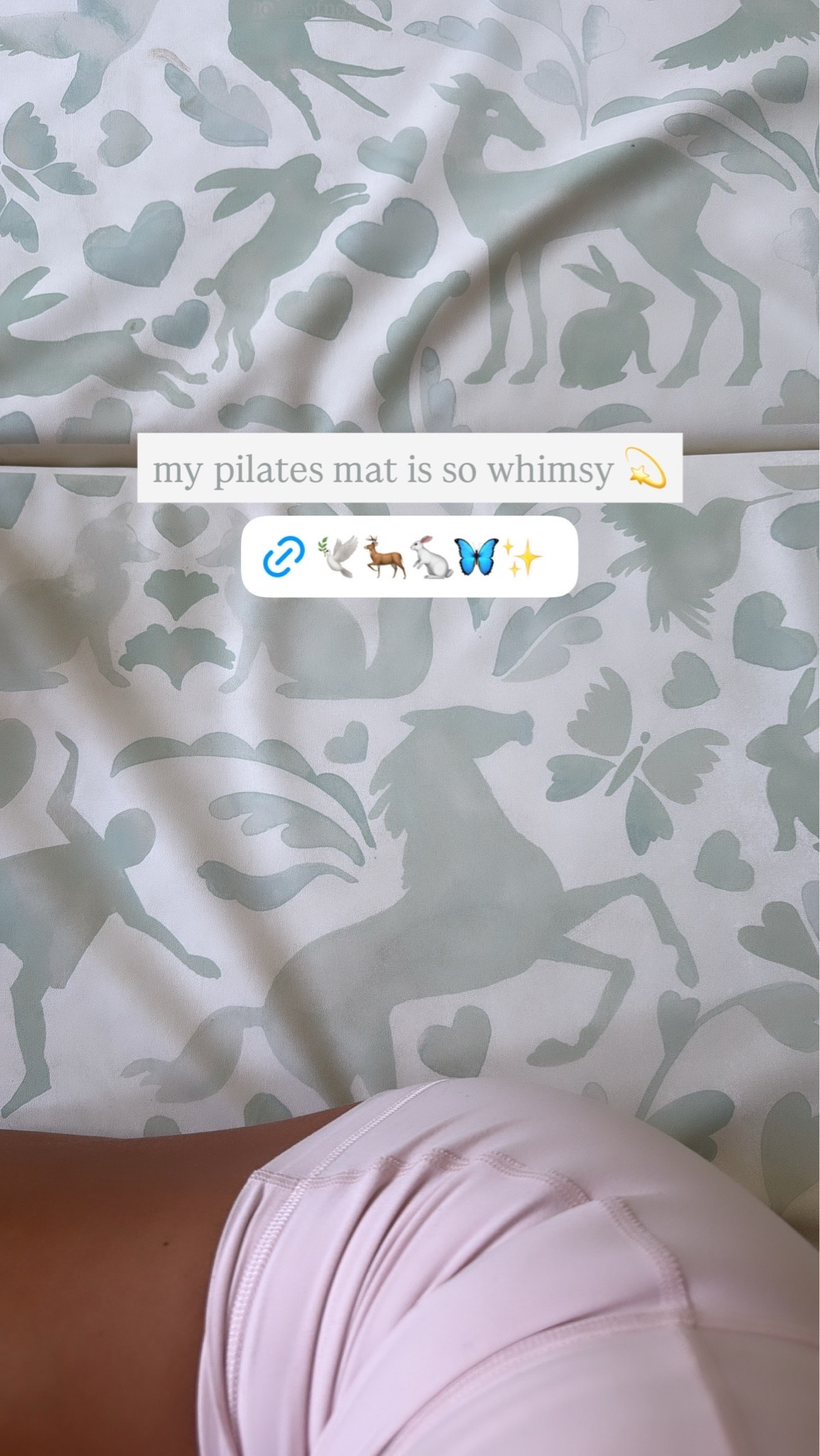 My Pilates mat!

#LTKfitnessgoals #LTKActive