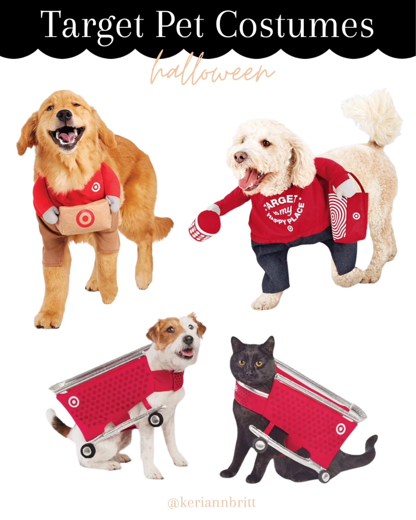 Target Pet Costumes

#LTKSeasonal #LTKHalloween #LTKFamily