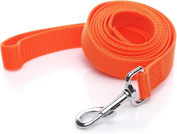 Nylon Dog Leash 10 Feet Long, Walking Training Dog Leashes for Medium Large Dogs, 1 Inch Wide (Or... | Amazon (US)