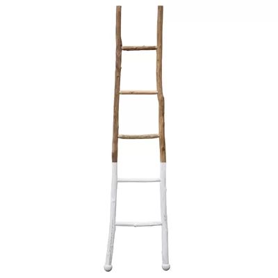 Wood Decorative Ladder | Wayfair North America