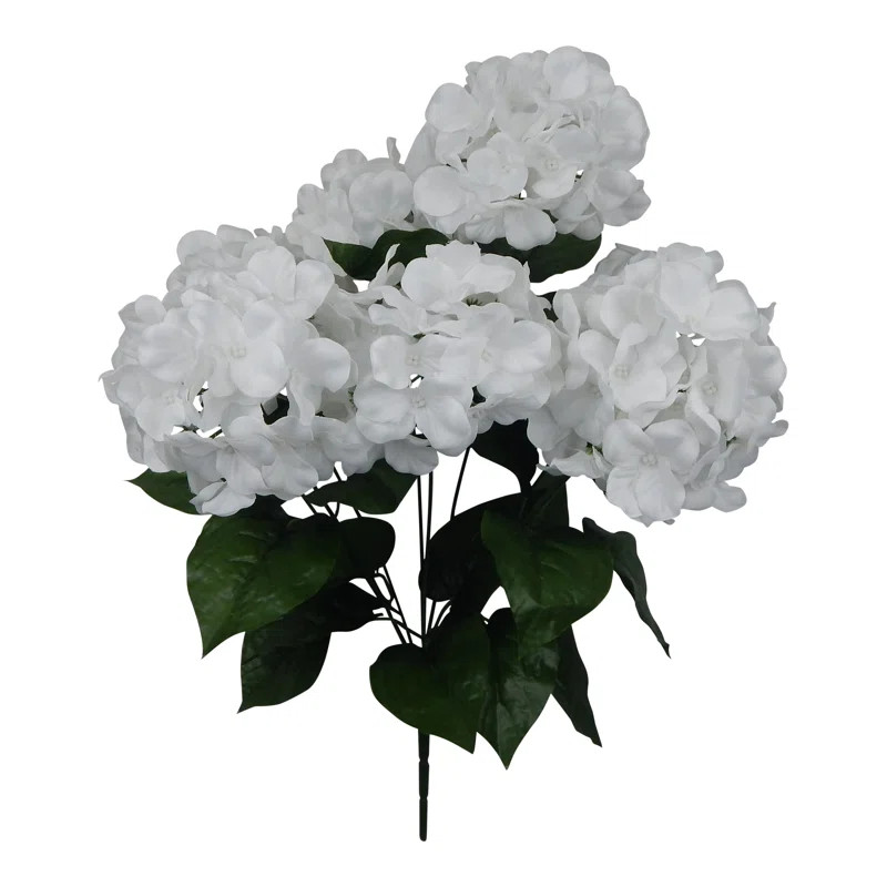 Hydrangeas Bushes | Wayfair North America