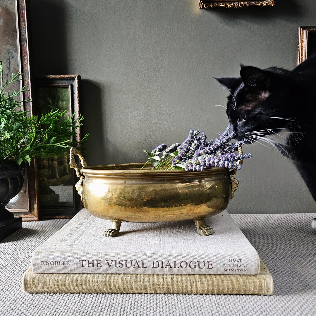 Vintage Hammered Brass Lion Head Claw Foot Oval Bowl Centerpiece Jardiniere Planter Pot - Etsy | Etsy (US)