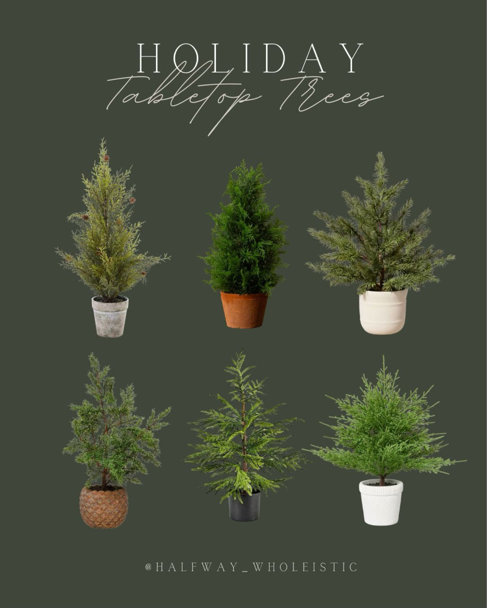 Shop these cute Holiday Tabletop Trees starting at $14!

#LTKHoliday #LTKhome #LTKfindsunder50