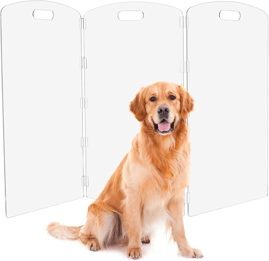 Modern Frame Clear Acrylic Freestanding Dog Gate - 32" Tall Folding 3-Panel Pet Barrier for Doorw... | Amazon (US)