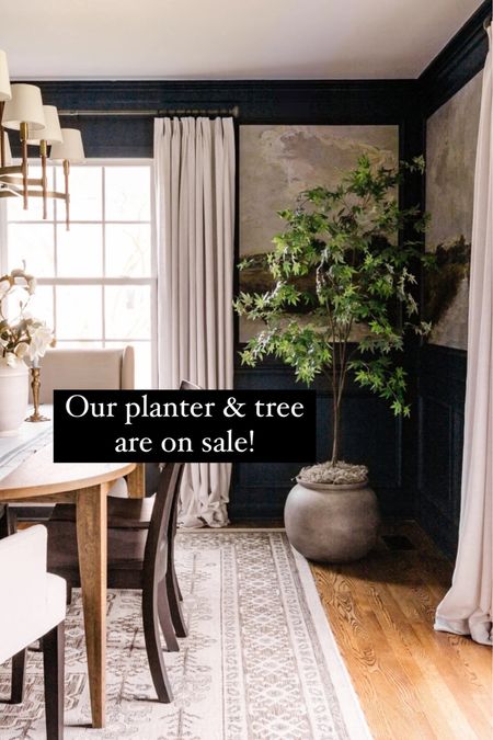Are Target Studio McGee tree and planter are on sale!

#SpringRefresh #SummerRefresh #StudioMcGee #McGeeAndCo #ArtificialPlant #IndoorPlanter #FakePlant #Dining roomDecor #DiningroomInspiration #blesserhouseblog

Follow my shop @blesserhouse on the @shop.LTK app to shop this post and get my exclusive app-only content!

#liketkit #LTKhome #LTKstyletip #LTKSeasonal
@shop.ltk
https://liketk.it/43xlt

#LTKhome #LTKSeasonal #LTKsalealert
