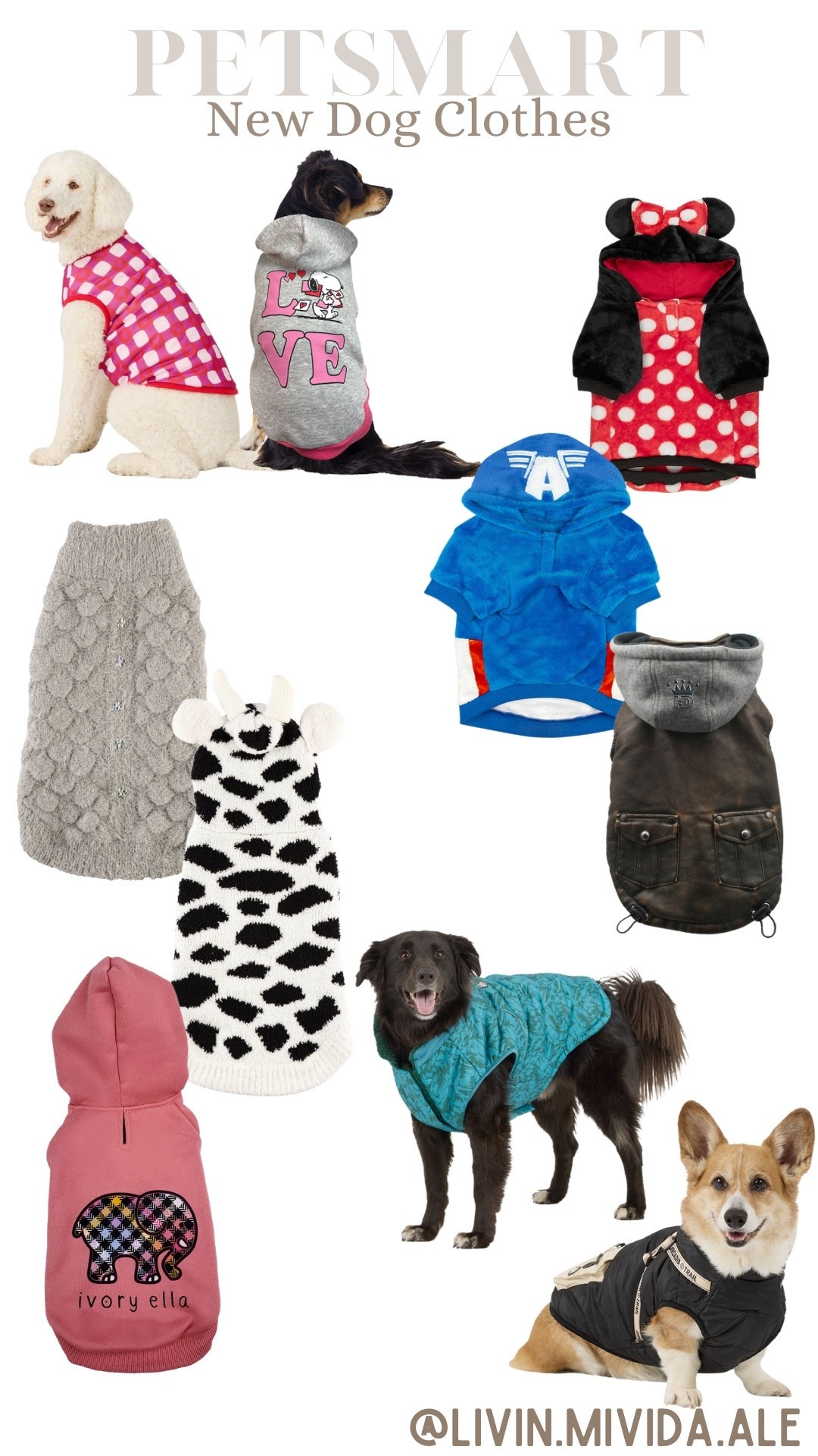 New dog clothes 🐶

#petsmart #dog #pet

#LTKSeasonal #LTKOver40 #LTKSaleAlert