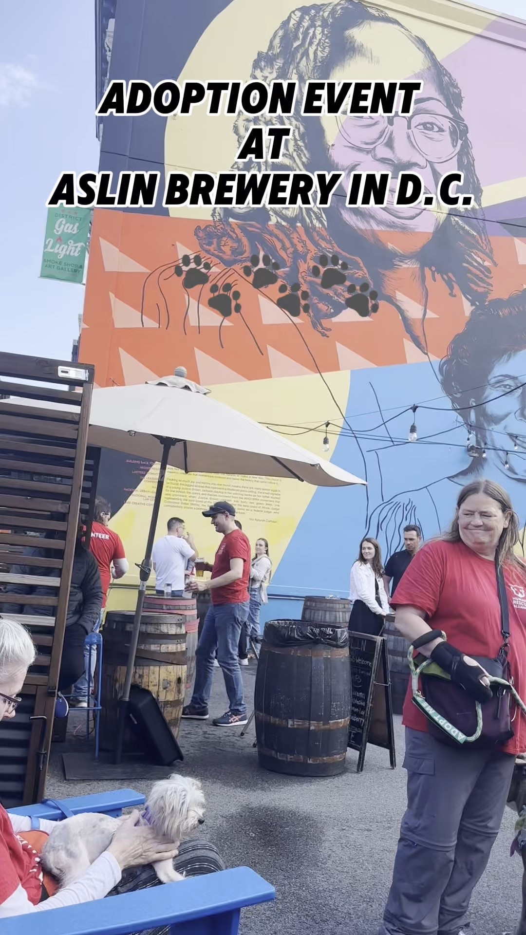 Adopt don’t shop. Here’s your sign to go get your forever drinking buddy 🍻❤️

#LTKPets