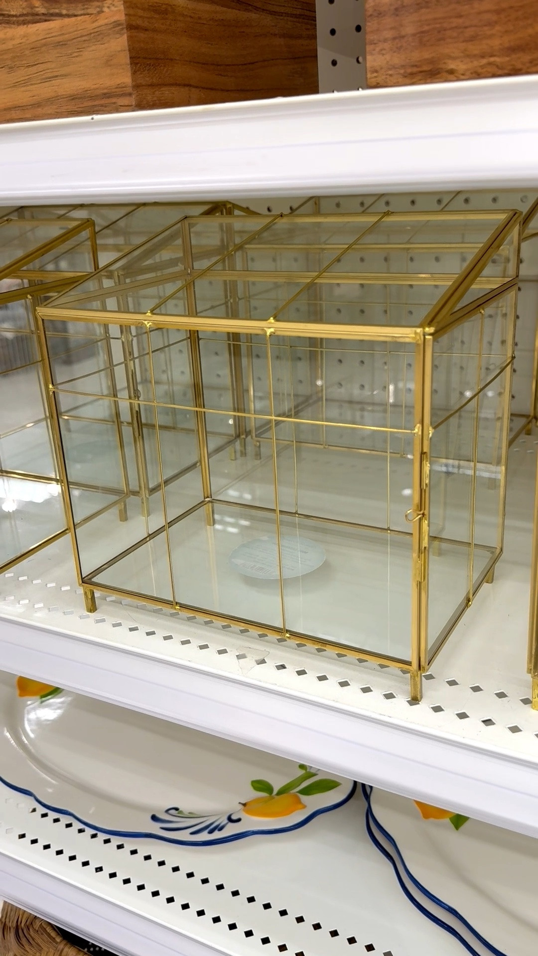 How sweet is this mini greenhouse? 🪴 Can’t you picture it on a coffee table as part of a summer tablescape?

It has clear glass panels with a brass frame, pitched roof, hinged door for easy access, and stands on four legs. Perfect for a small space too! 

#minigreenhouse #terrarium #containergardening #tabletopgreenhouse #pottedplants #target #glassgreenhouse #tablegreenhouse #summerplants #smallgreenhouse #indoorplants

#LTKSeasonal #LTKHome