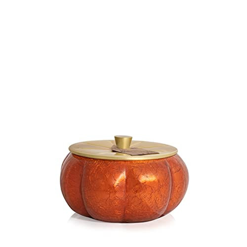 Thymes Pumpkin Laurel Statement Large Candle - Fall Scented Candle with Notes of Nutmeg, Cinnamon, Clove, Pumpkin, and Orange Peel - Luxury Home Fragrance - Burnt Orange, Pumpkin-Shaped (15 oz) | Amazon (US)