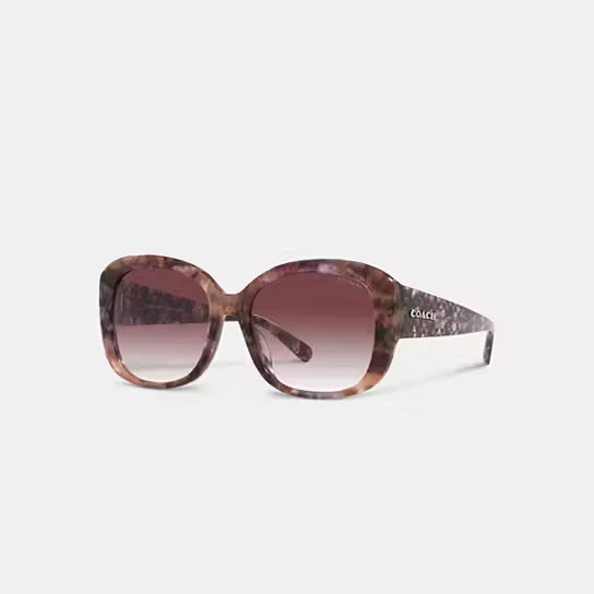 Signature Oversized Square Sunglasses | Coach (US)