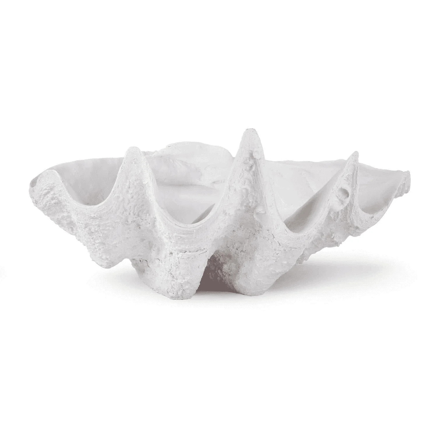 Bimini Clam | Burke Decor