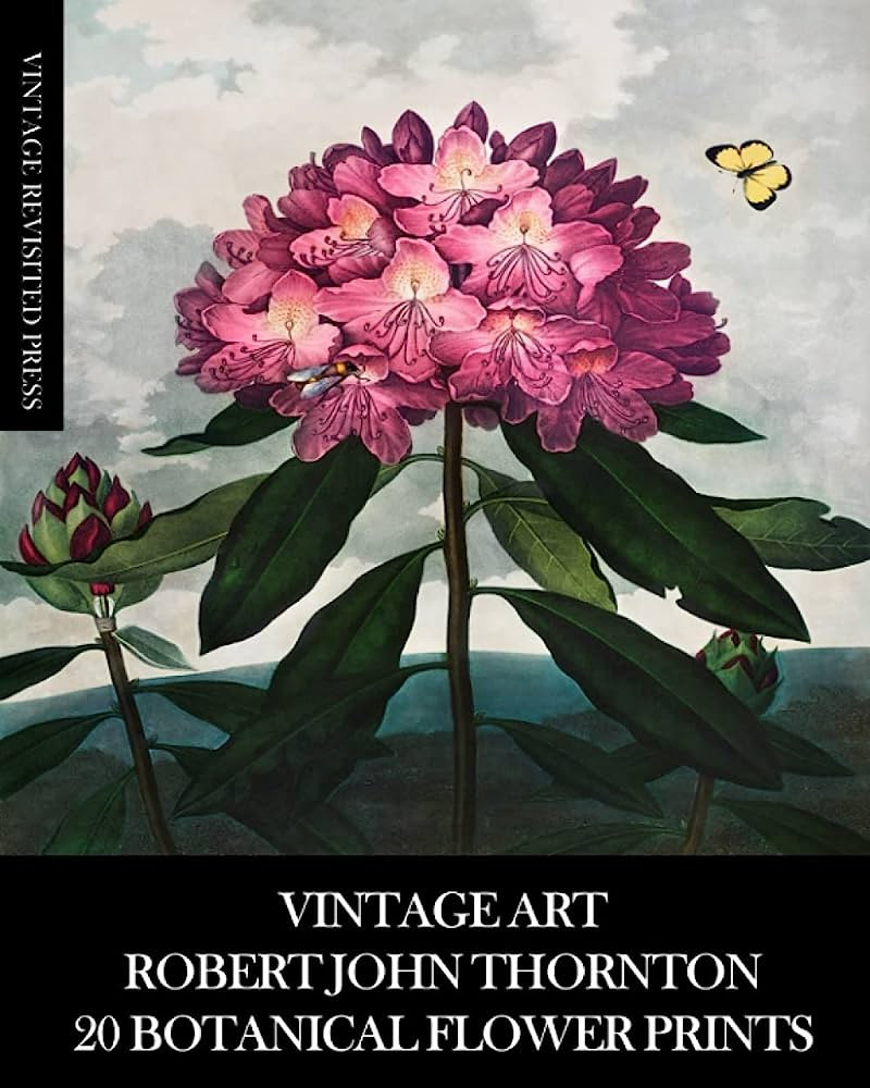 Vintage Art: Robert John Thornton 20 Botanical Flower Prints: Flora Ephemera for Framing, Home De... | Amazon (US)