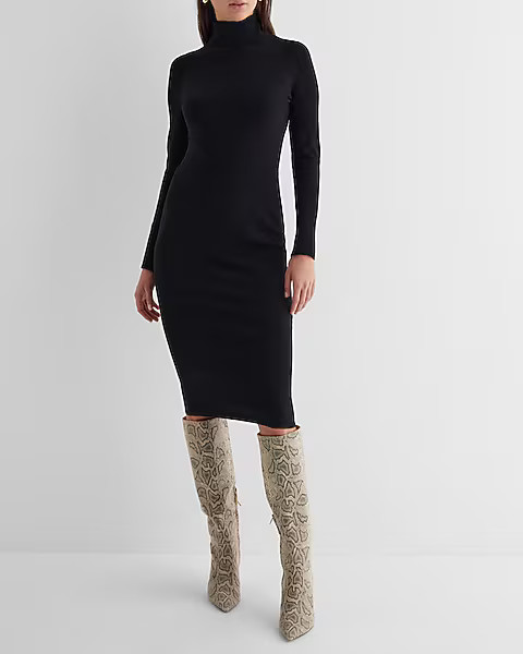 Turtleneck Long Sleeve Midi Sweater Dress | Express