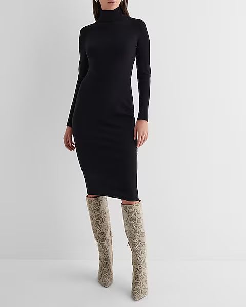 Turtleneck Long Sleeve Midi Sweater Dress | Express