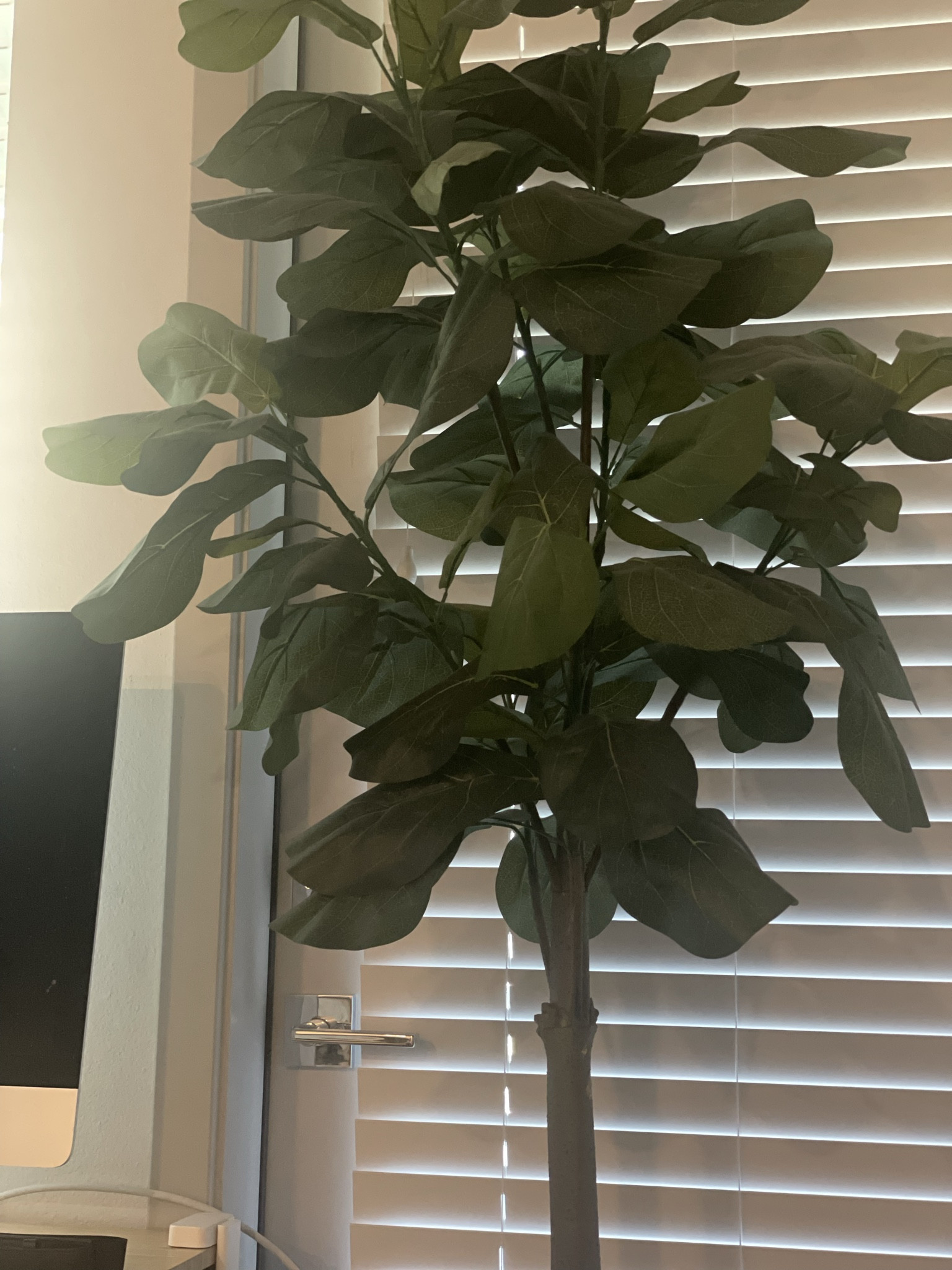 Faux Plants for The WFH gang 

Linked are a few items I purchased and if they were sold out their alternatives. 

#LTKhome