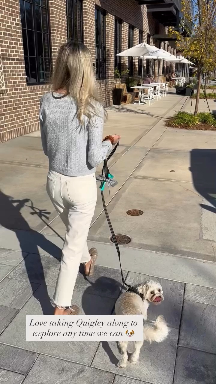 Love taking Quigley along to explore any time we can 🐶