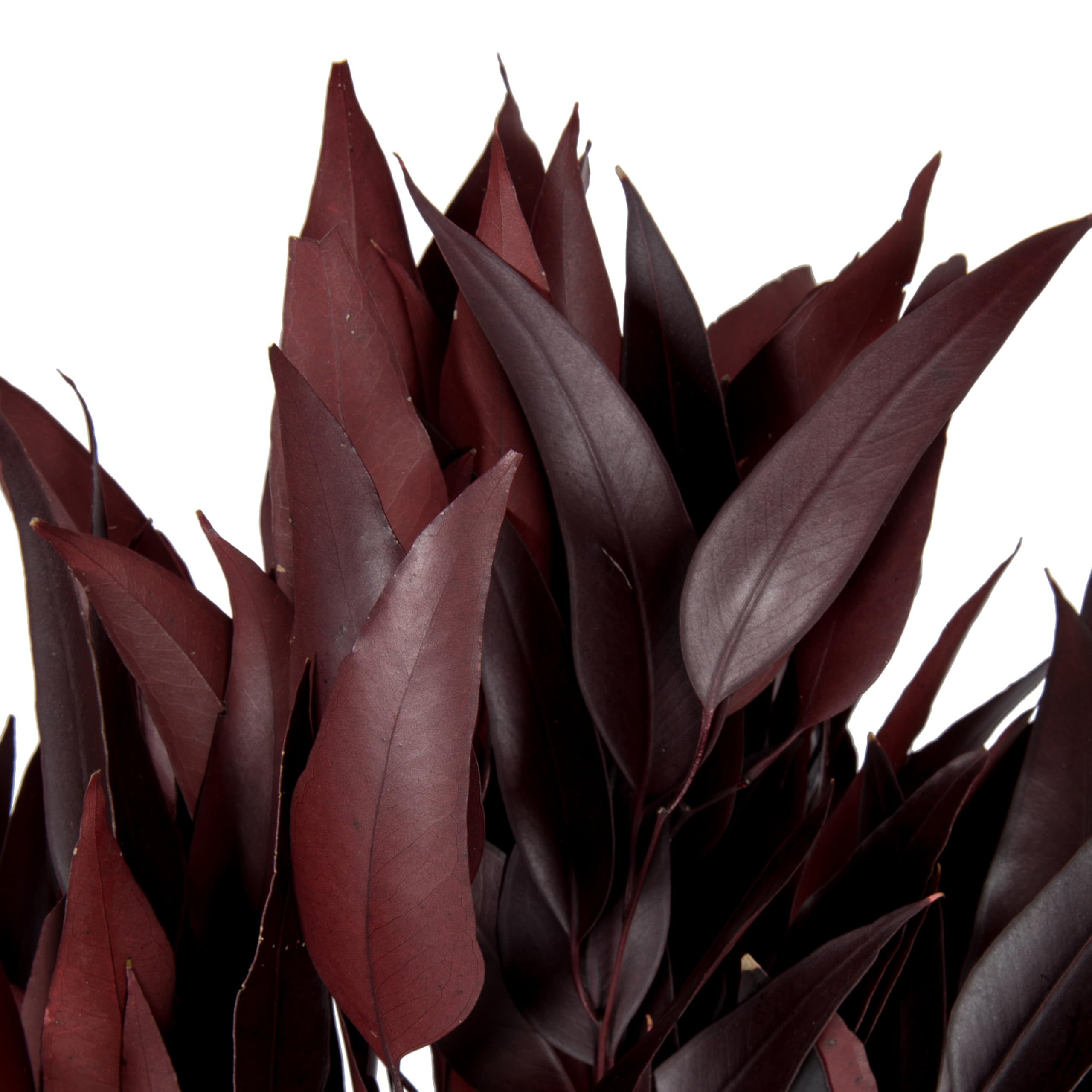 Vickerman 18" Red Weeping Willow Eucalyptus - 5-6 oz Per Pack - Red Preserved Foliage Floral Deco... | Amazon (US)