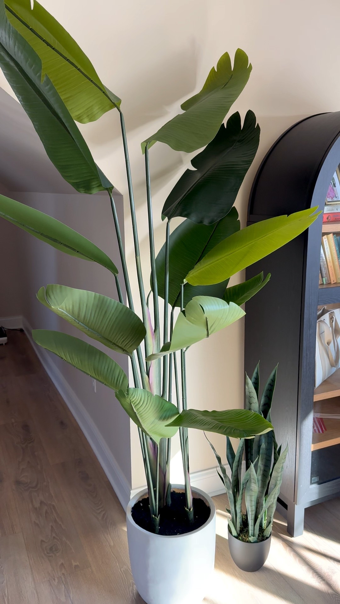 Such great quality, love these faux plants as an addition to my office! #ad 

#LTKSaleAlert #LTKHome