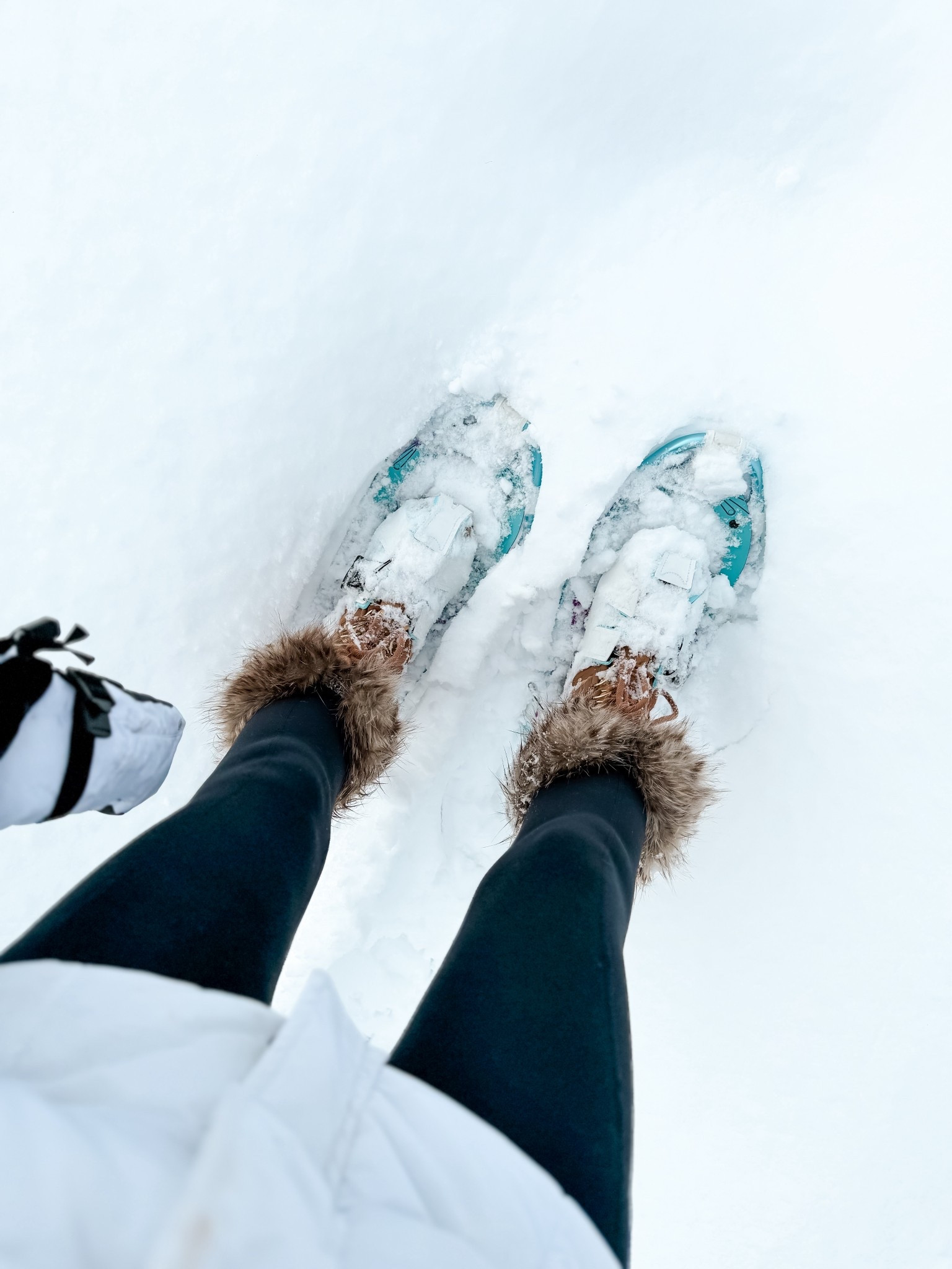 Snowshoes for winter walks and ways to stay active this winter in the snow 