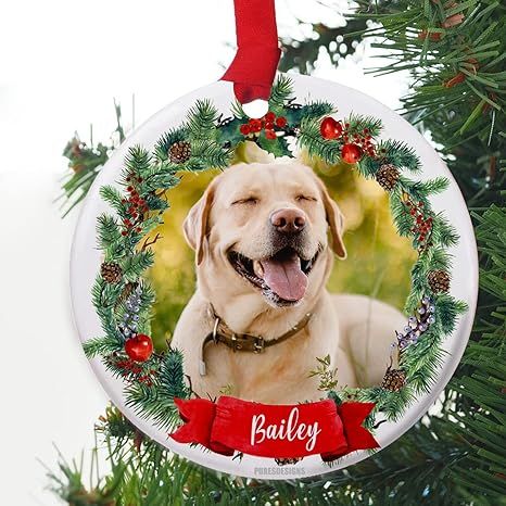Personalized Dog Ornaments for Christmas Tree-Your Dog's Name,Photo on a Custom Dog Christmas Orn... | Amazon (US)