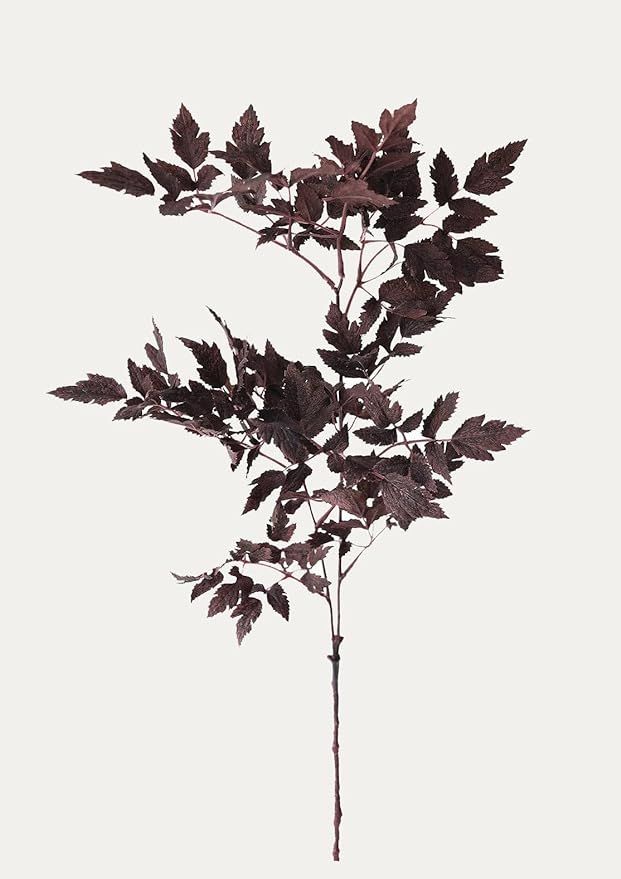 Plum Fake Cimicifuga Ramosa Leaves - 31" | Amazon (US)