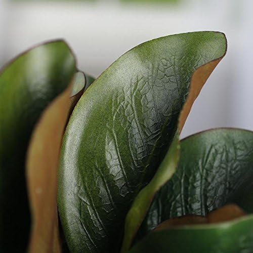 Factory Direct Craft Hues of Green Artificial Magnolia Leaf Bush for Indoor Decor | Amazon (US)