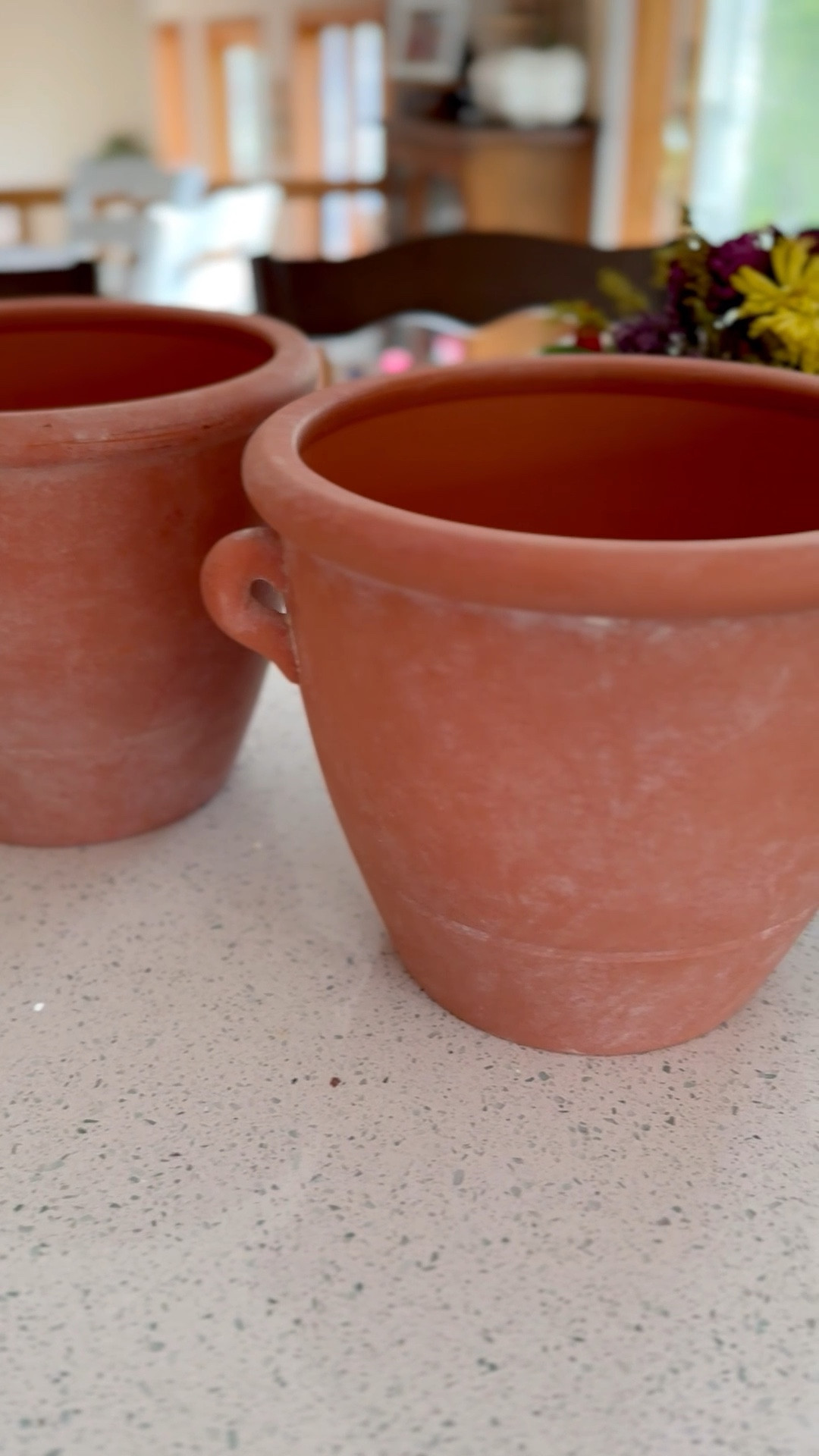 Grab these before they sell out again! Perfect terracotta planters for an herb garden!

#LTKHome #LTKSaleAlert #LTKSeasonal